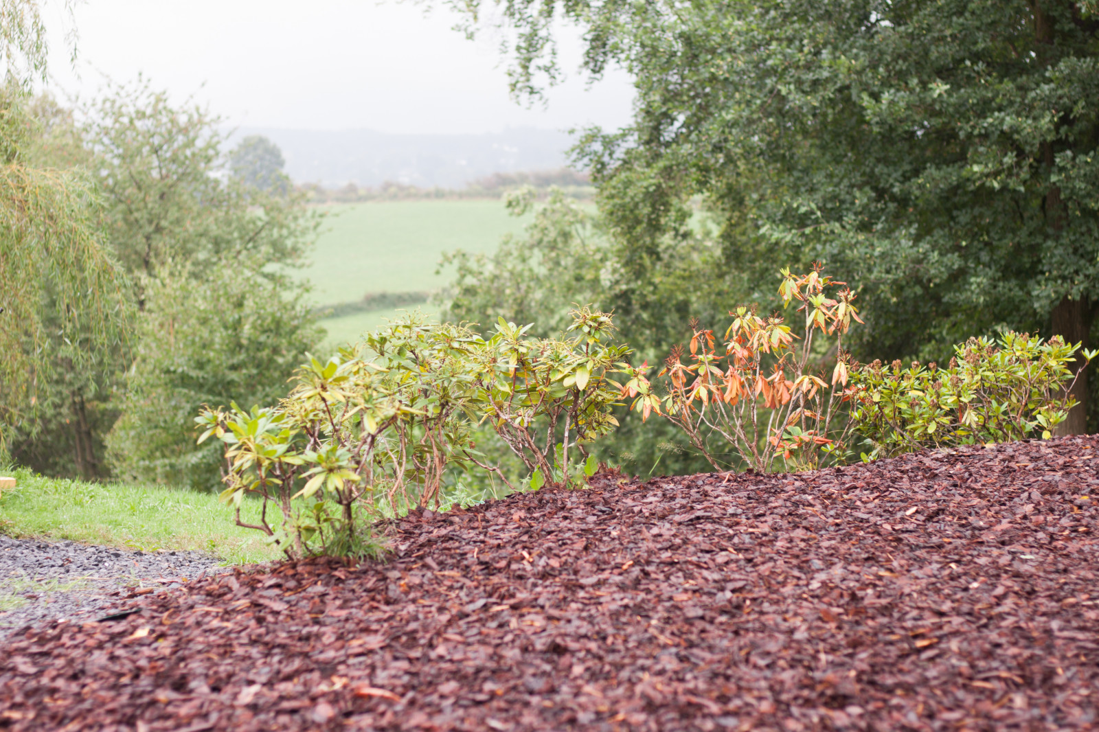 Photos - Entre Vénus et Naïades - photo 23